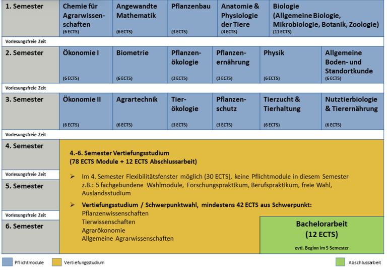 Studienverlaufsplan